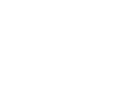 dev edition logo